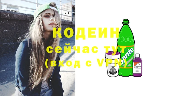 индика Балабаново