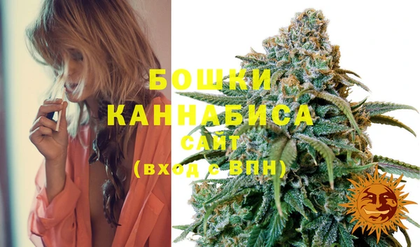 индика Балабаново