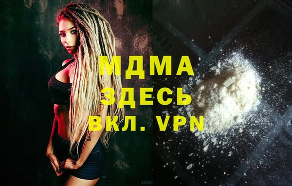 индика Инсар