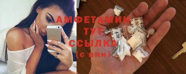 индика Балабаново