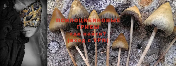mdpv Баксан