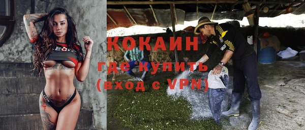индика Балабаново