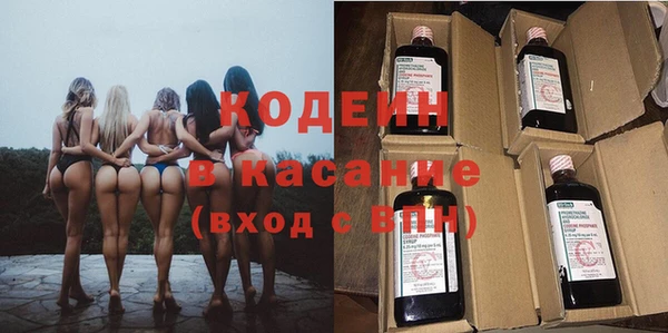 индика Балабаново