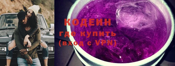 индика Балабаново